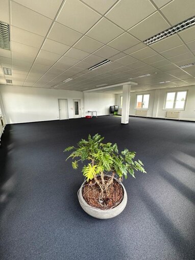 Bürofläche zur Miete Provisionsfrei 12 € 486 m² Bürofläche Georgenhausen Berlin 13403