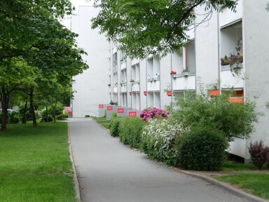 Wohnung zur Miete 300 € 3 Zimmer 56,3 m² 2. Geschoss Straße Usti nad Labem 257 Kappel Chemnitz 09119