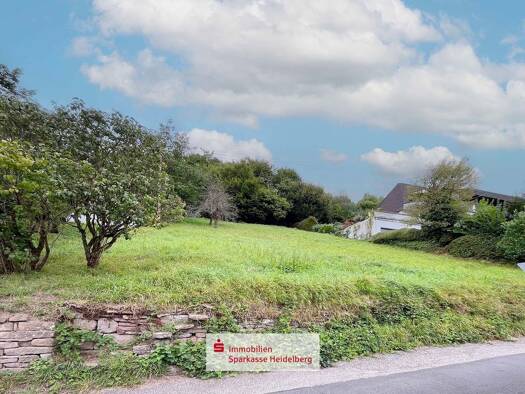 Grundstück zum Kauf 85.000 € 950 m² Grundstück Schönau 69250