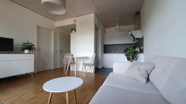 Studio zur Miete 500 € 2 Zimmer 43 m² Maxauer Straße 10 Knielingen - Alt-Knielingen Karlsruhe 76187