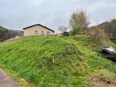 Grundstück zum Kauf 130.000 € 1.100 m² Grundstück Im Algäu Rimlingen Losheim am See 66679
