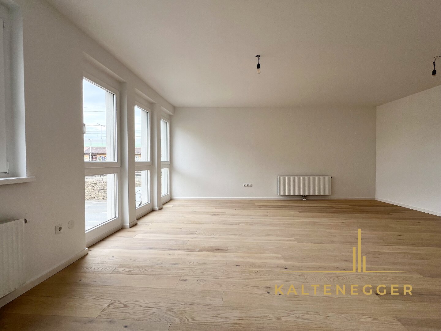 Wohnung zum Kauf 229.000 € 1 Zimmer 47,3 m²<br/>Wohnfläche Erdgeschoss<br/>Geschoss Wien 1190