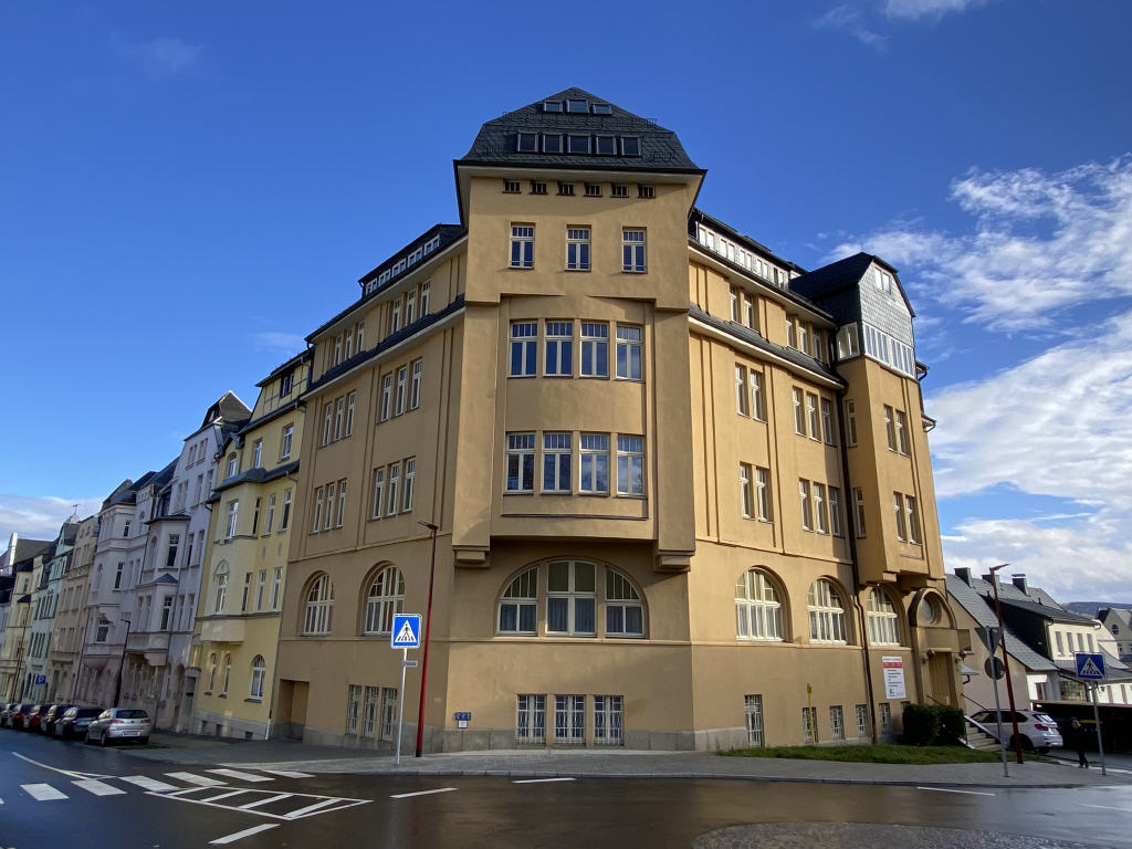 Mehrfamilienhaus zum Kauf 440.000 € 910 m²<br/>Grundstück Auerbach Auerbach 08209