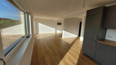 Apartment zur Miete 750 € 2,5 Zimmer 80 m² Erdgeschoss Talblick 11 Wangen Stühlingen 79780