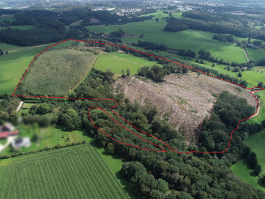Forstwirtschaft zum Kauf 470.000 € 259.263 m² Grundstück Halver Halver 58553