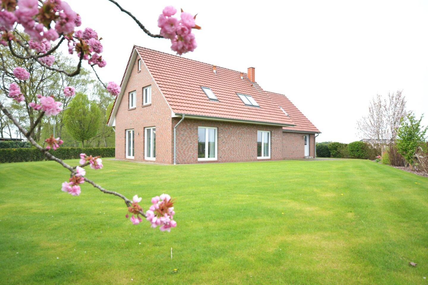 Einfamilienhaus zur Miete