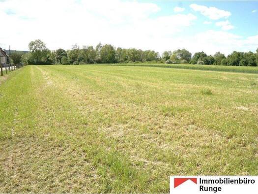 Haus zum Kauf 375.000 € 8 Zimmer 200 m² 9.317 m² Grundstück Rinteln 31737