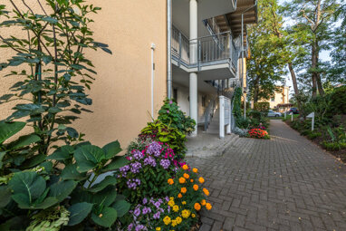 Wohnung zur Miete 530 € 3 Zimmer 54,7 m² Bad Harzburger Weg 1 Heide - Süd Halle (Saale) 06120