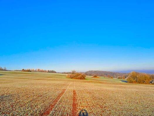 Land-/Forstwirtschaft zum Kauf als Kapitalanlage geeignet 10.500 € 7.655 m² Sangerhausen 06526