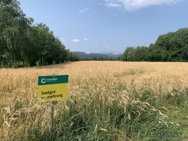 Land-/Forstwirtschaft zum Kauf 314.000 m² Grundstück Willendorf 2732