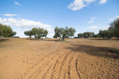 Landwirtschaftliche Fläche zum Kauf 600.000 € Kassandreia