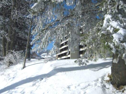 Wohnung zum Kauf 69.000 € 1 Zimmer 37,4 m² 3. Geschoss Schönwald 78141