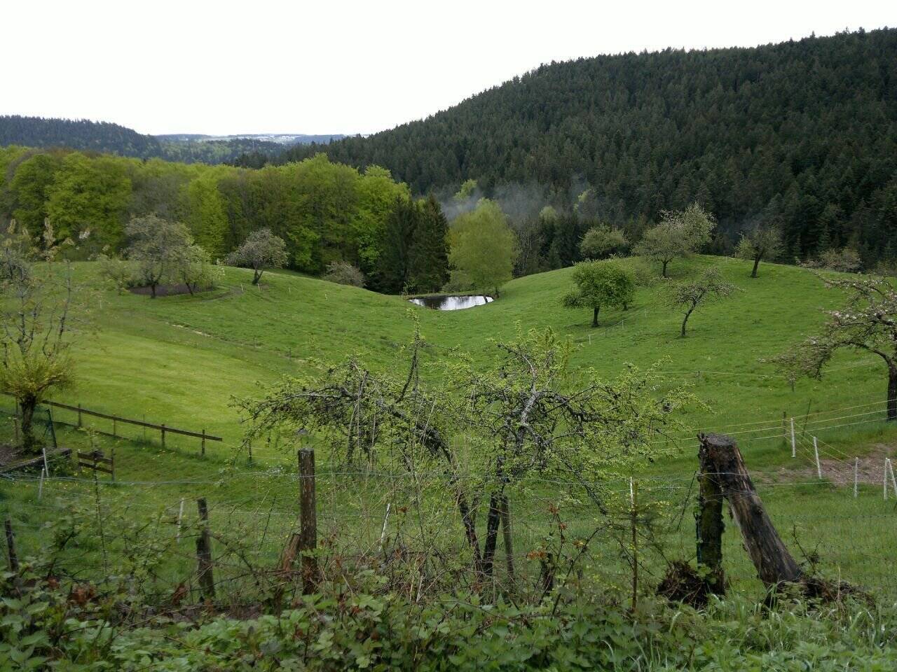 PREISWERTES GRUNDSTÜCK MIT SCHÖNEM AUSBLICK FÜR IHR NEUES HAUS! TEL. 01714863595  