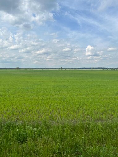 Landwirtschaftliche Fläche zum Kauf 225.000 € 76.000 m² Melkow Wust-Fischbeck 39524