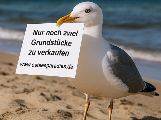 Grundstück zum Kauf provisionsfrei als Kapitalanlage geeignet 129.000 € 423 m² Grundstück Glowe 18551