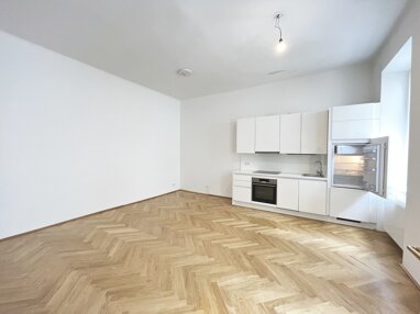 Wohnung zur Miete 588,93 € 2 Zimmer 48 m² 3. Geschoss Steingasse 9 Wien 1030