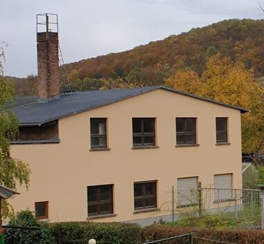 Einfamilienhaus zum Kauf 138.000 € 6 Zimmer 300 m² 800 m² Grundstück Brückenstraße Dorndorf-Steudnitz Dornburg-Camburg 07774
