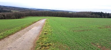 Landwirtschaftliche Fläche zum Kauf 740.000 m² 740.000 m² Grundstück Allenbach Allenbach 55758