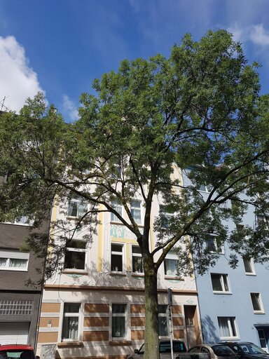 Wohnung zur Miete 335 € 1 Zimmer 36 m² 3. Geschoss frei ab 15.04.2025 Stolzestraße 31 Ruhrallee - West Dortmund 44139