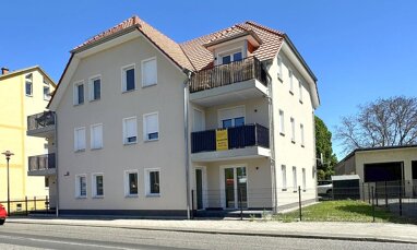 Wohnung zur Miete 960 € 3 Zimmer 80,8 m² Erdgeschoss Frankfurter Straße 10 Müllrose Müllrose 15299