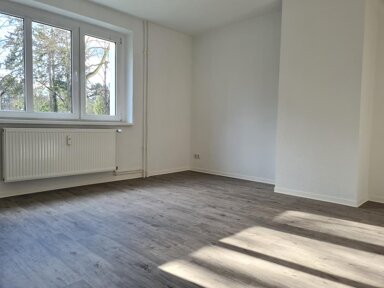 Wohnung zur Miete 493 € 3 Zimmer 65,7 m² EG Große Diesdorfer Str. 114 Schroteanger Magdeburg 39110