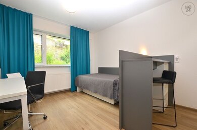 Wohnung zur Miete Wohnen auf Zeit 619 € 1 Zimmer 21 m² frei ab 01.03.2025 Innenstadt Aschaffenburg 63739