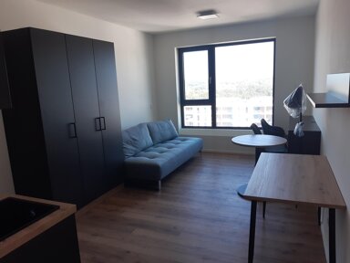 Studio zur Miete 580 € 1 Zimmer 25 m² 7. Geschoss frei ab 01.11.2024 Mögeldorf Nürnberg 90482