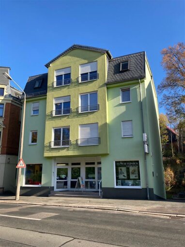 Wohnung zur Miete 330 € 2 Zimmer 54,2 m² 1. Geschoss Innere Zwickauer Straße 77 Niederplanitz 545 Zwickau 08062