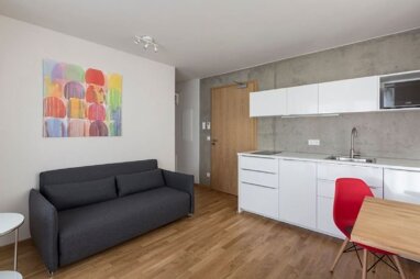 Wohnung zur Miete Wohnen auf Zeit 1.590 € 2 Zimmer 35 m² frei ab sofort Glockenhof Nürnberg 90478