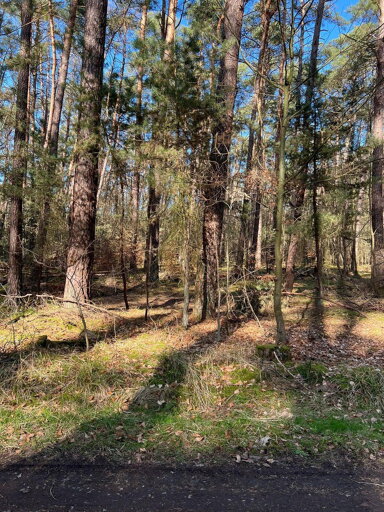 Land-/Forstwirtschaft zum Kauf provisionsfrei 4.000 m² Grundstück Dudenhofen Rodgau 63110