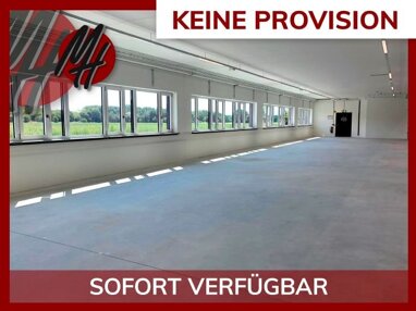 Halle/Industriefläche zur Miete Provisionsfrei 1.200 m² Lagerfläche Egelsbach 63329