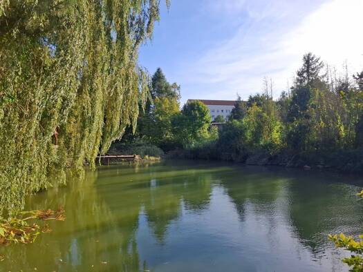 Einfamilienhaus zum Kauf 60.000 € 5 Zimmer 140 m² 2.752 m² Grundstück frei ab sofort Stephanstraße 5 D Helbra 06311