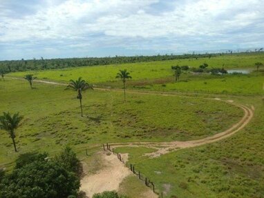 Grundstück zum Kauf 39.900 € 4.800.000 m² Grundstück Manaus 69028200