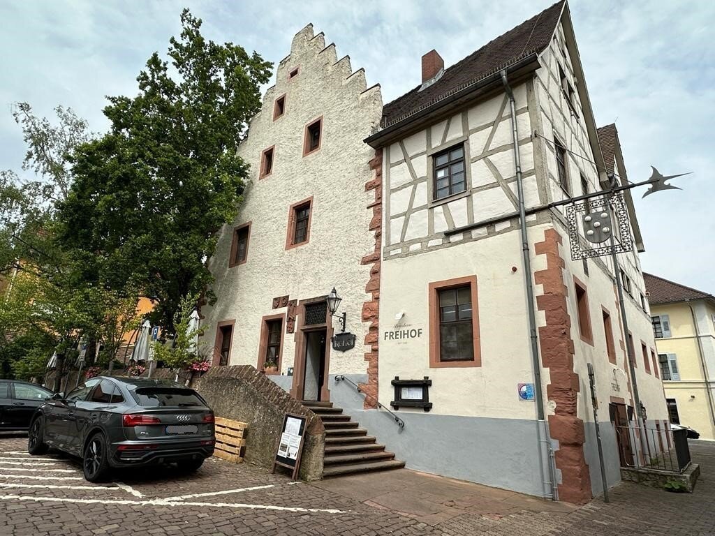 Stadthaus zum Kauf 1.590.000 € 10 Zimmer 602 m²<br/>Wohnfläche 542 m²<br/>Grundstück Wiesloch Wiesloch 69168