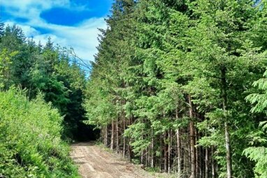 Land-/Forstwirtschaft zum Kauf 184.000 € 46.484 m² Grundstück Hunderdorf Hunderdorf 94336