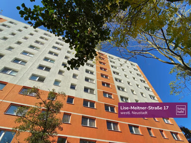 Wohnung zur Miete 250 € 1 Zimmer 35 m² 6. Geschoss frei ab 01.03.2025 Lise-Meitner-Straße 17 Nördliche Neustadt Halle (Saale) 06122