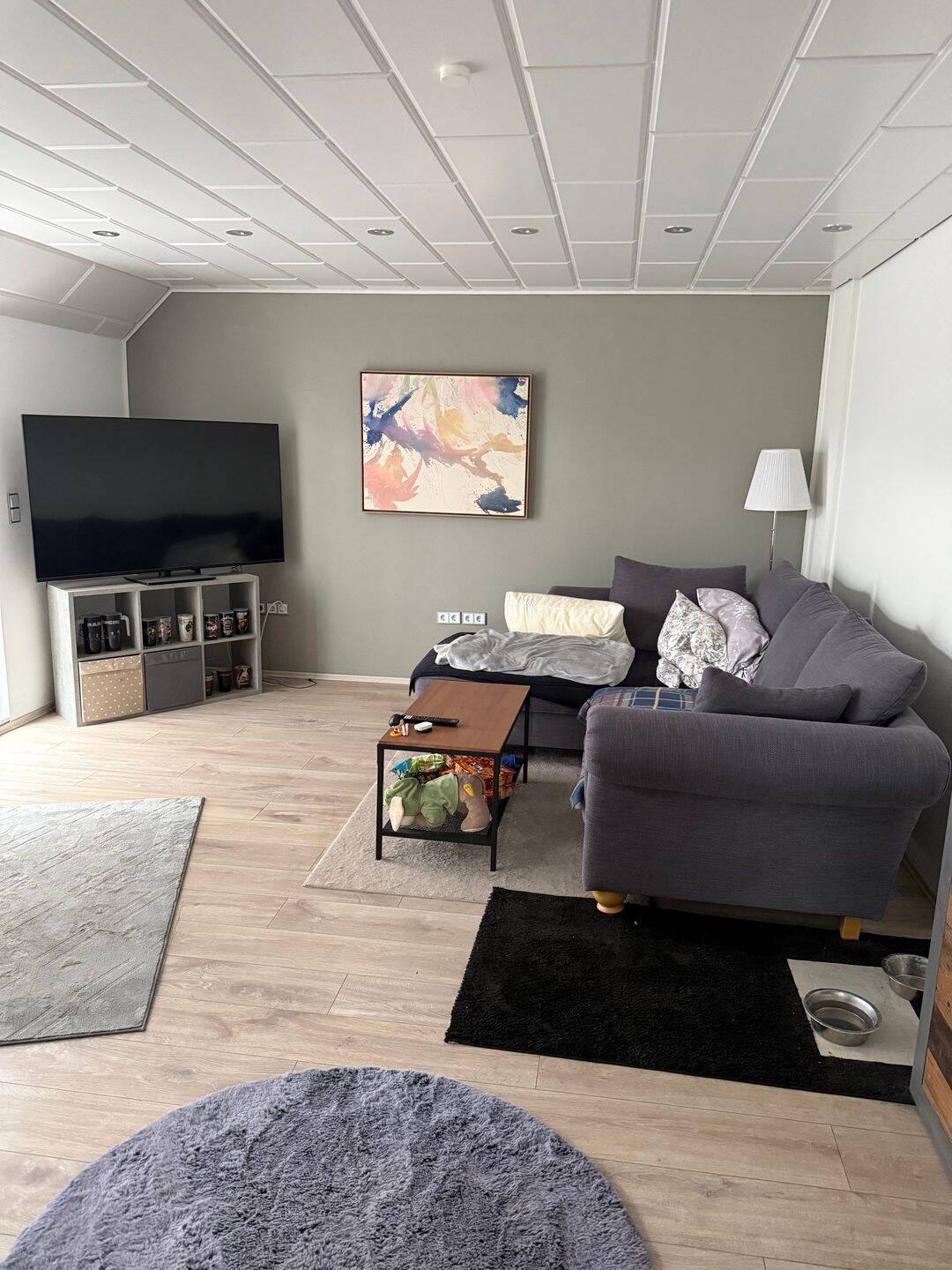 Schöne und renovierte 3 Zimmerwohnung- provisionsfrei