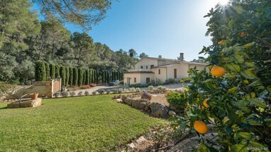 Villa zum Kauf 3.300.000 € 5 Zimmer 325 m² 12.800 m² Grundstück Calvia 07184