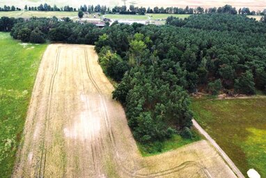 Land-/Forstwirtschaft zum Kauf 5.000 € 5.110 m² Grundstück Riebener Weg Rieben Beelitz OT Schönefeld 14547