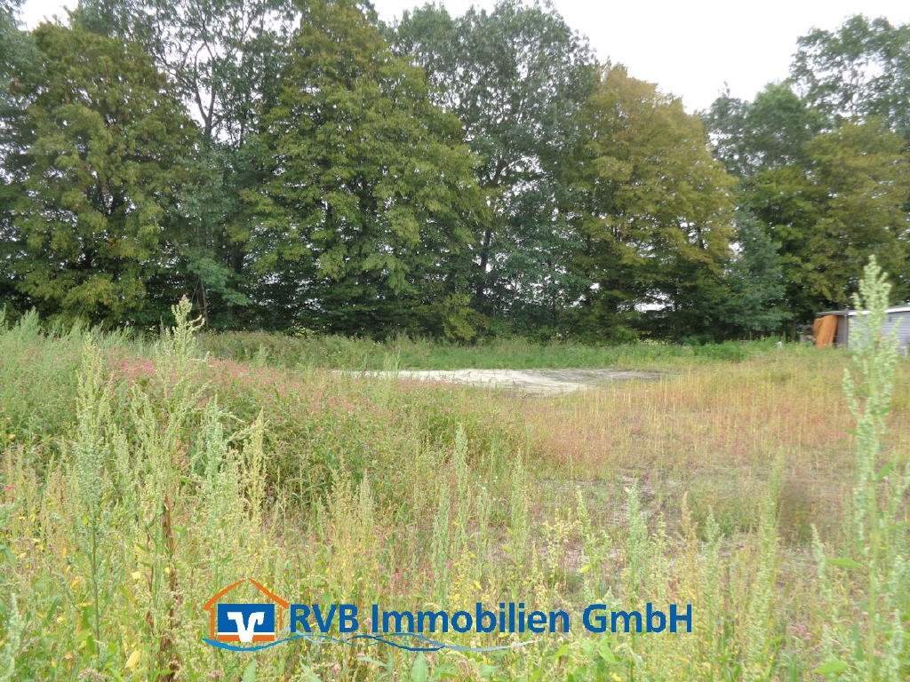 Grundstück zum Kauf 107.500 € 1.064 m²<br/>Grundstück Wiesmoor Wiesmoor 26639