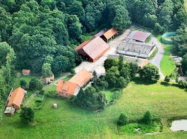 Bauernhof zum Kauf 1.300.000 € 175.000 m² Grundstück Köbbinghausen Twistringen 27239