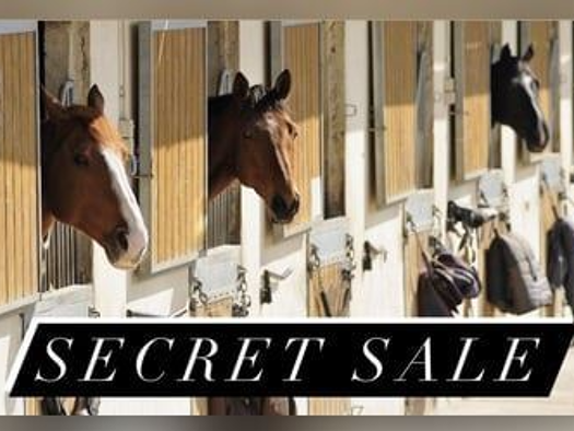 Haus zum Kauf 2.590.000 € 18 Zimmer 460 m² Sinsheim Sinsheim , Elsenz 74889