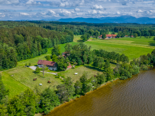Bauernhaus zum Kauf 15 Zimmer 850 m² 11.500 m² Grundstück Mandl Münsing 82541