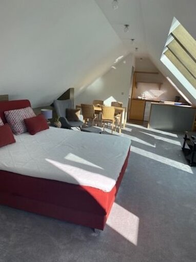 Apartment zur Miete 570 € 1 Zimmer 30 m² 3. Geschoss Ruwer 3 Trier 54292