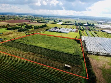 Land-/Forstwirtschaft zum Kauf 170.000 € 15.654 m² Grundstück Bornheim Bornheim 53332