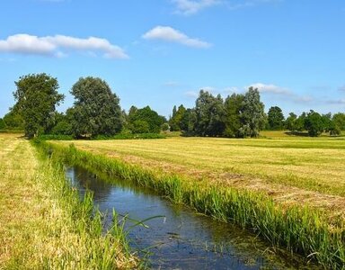 Landwirtschaftliche Fläche zum Kauf 543 € 1.086 m² Grundstück Friesoythe Friesoythe - Altenoythe 26169