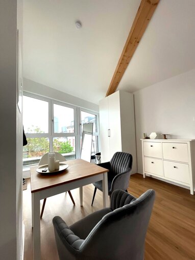 Apartment zur Miete 590 € 1 Zimmer 29 m² 4. Geschoss Wilhelmschule Offenbach am Main 63065