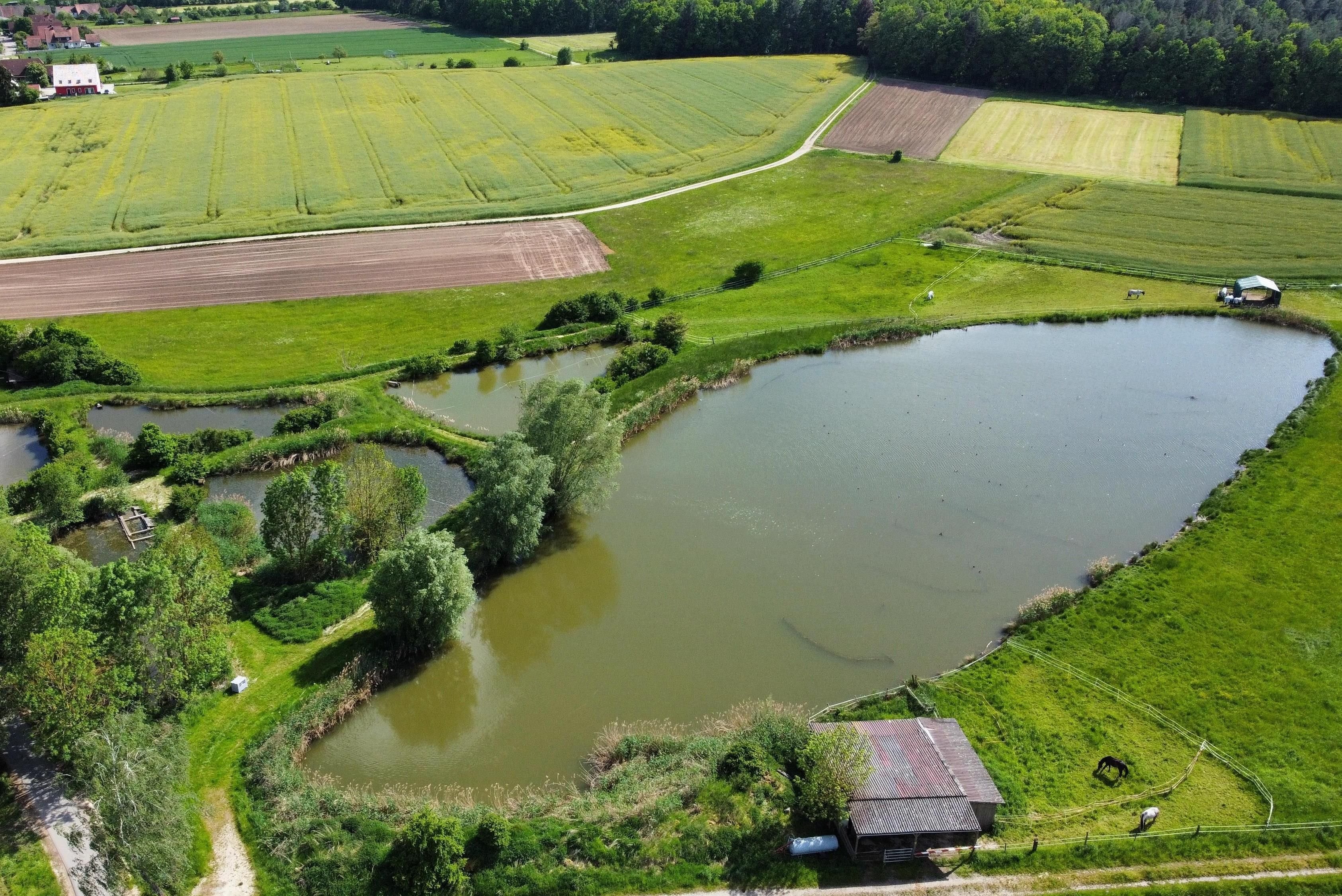 Teich-/Fischwirtschaft zum Kauf 69.000 € 19.552 m²<br/>Grundstück Burgoberbach Burgoberbach 91595