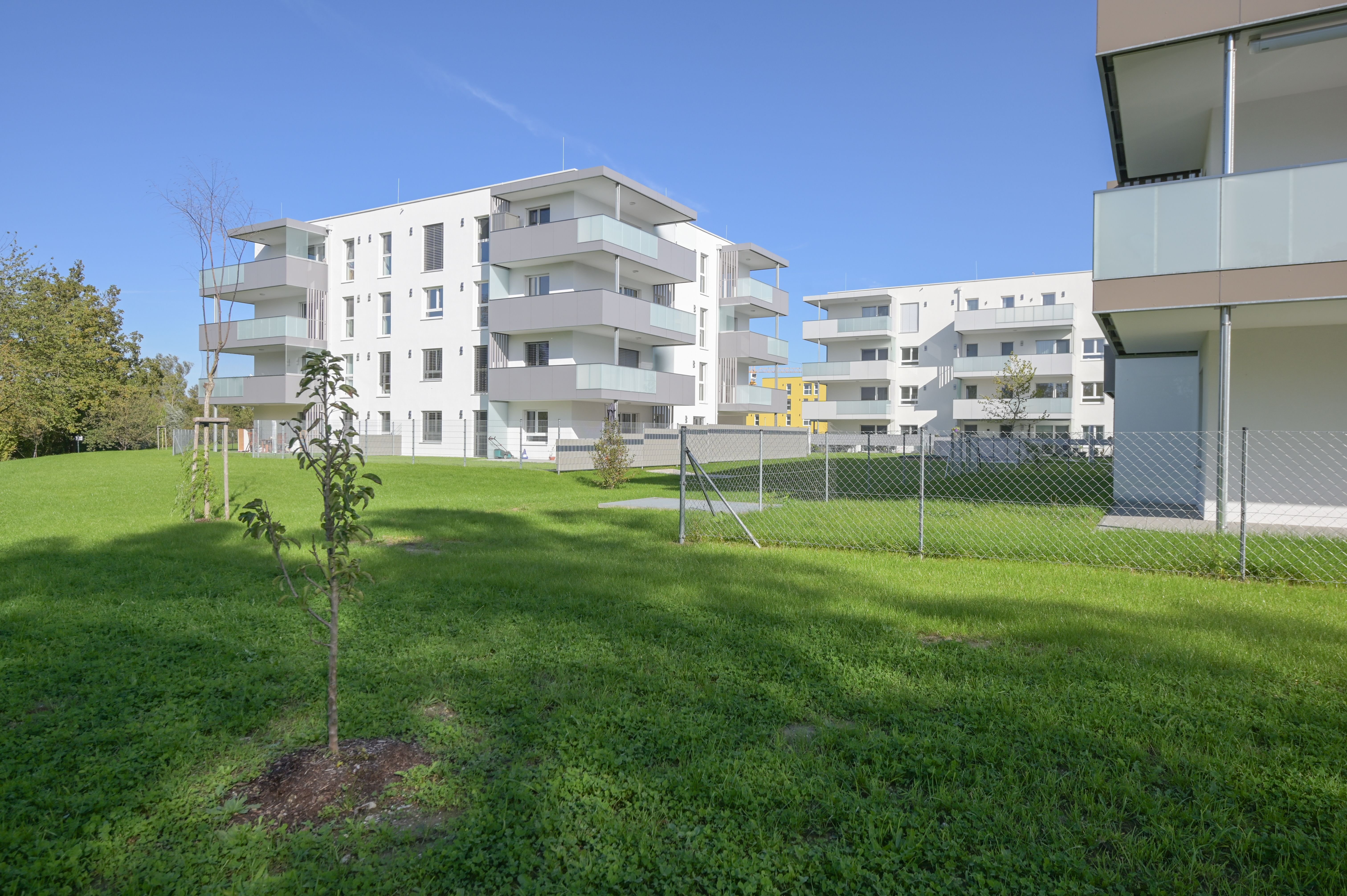 Wohnung zum Kauf provisionsfrei 296.310 € 3 Zimmer 75,1 m²<br/>Wohnfläche Asten 4481