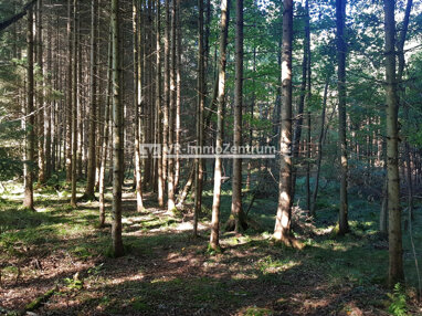 Forstwirtschaft zum Kauf 55.000 € 8.168 m² Grundstück Finning Finning 86923